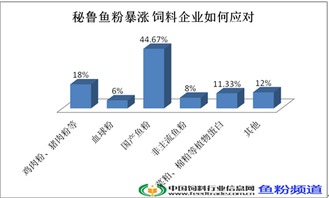 代辦昌平區勞務派遣許可證、公司增資墊資與專業勞務派遣服務全攻略
