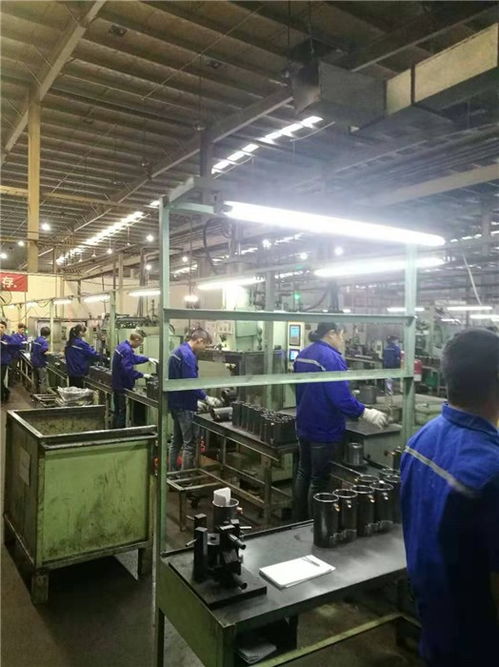 安徽錦卓人力資源 專業(yè)勞務派遣服務助力蕪湖企業(yè)高效發(fā)展